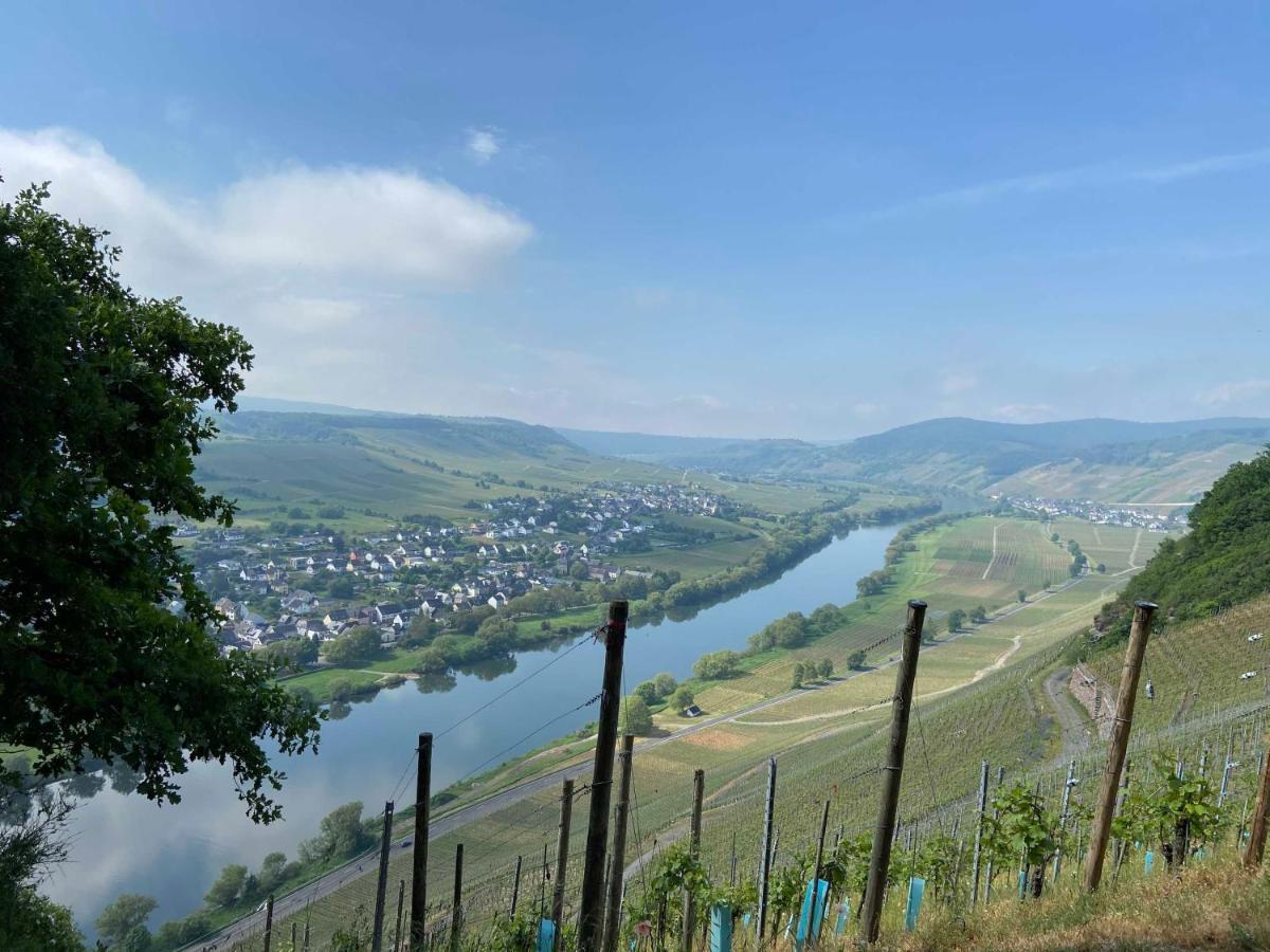 Apartamento Neu!!! Moselbleibe Winzerhaus Kues Bernkastel-Kues Exterior foto